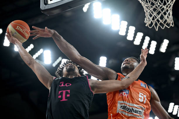 续引进荷兰 续引进荷兰